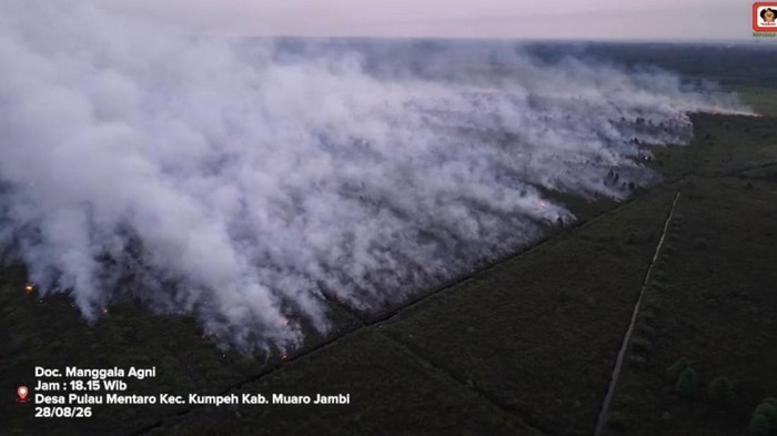 Penampakan kebakaran lahan di Desa Pulau Mentaro, Muaro Jambi
