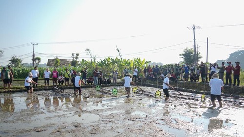 Penanaman padi menggunakan teknologi Advance Agricultural System (PM-AAS) di Subak Tanah Yeng, Desa Sedang, Abiansemal, Badung, Bali, Sabtu (29/8/2026). (Foto: Dok. Pemkab Badung)