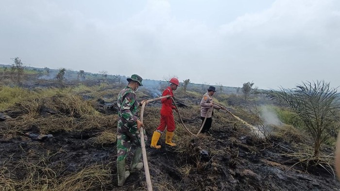 Personel gabungan Polri-TNI berjibaku memadamkan kebakaran di Pangkalan Kerinci, Pelalawan, Riau, Sabtu (29/8/2026).