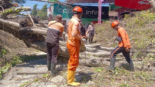 Pohon santen tumbang dan menimpa bagian depan sebuah ruko di Jalan Jelantik Gingsir, Buleleng, Minggu (30/8/2026).