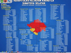 Tembus 2.001 Kasus, Ini Daftar 13 Daerah Masuk Zona Merah Karhutla di Sumsel