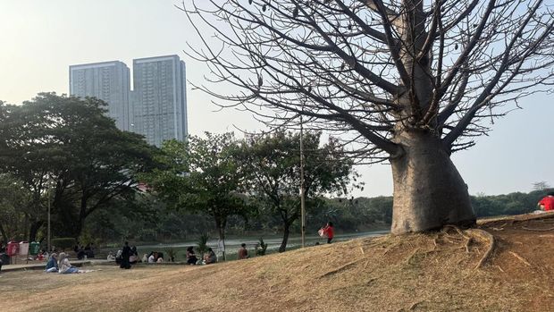 Suasana Taman Waduk Ria Rio di Jaktim (Adhfar/detikcom)