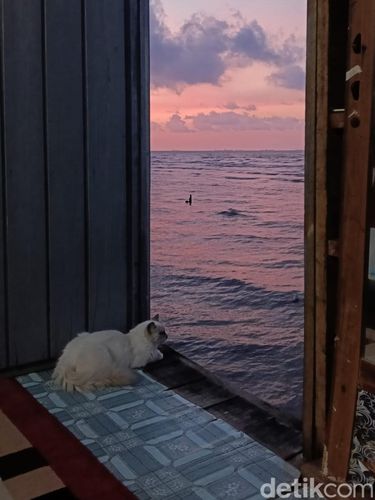 Viral hunian di atas laut Balikpapan. Buka pintu langsung laut lepas, sang pemilik santai hadapi angin dan pasang meski sempat dikira video editan AI.