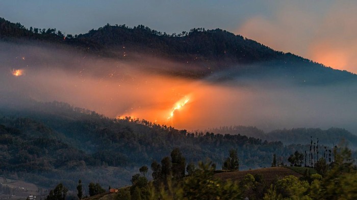 Suasana api membakar kawasan hutan di lereng Gunung Semeru, kawasan Taman Nasional Bromo Tengger Semeru (TNBTS), Lumajang, Jawa Timur, Senin (31/8/2026). Balai Besar TNBTS menutup total jalur pendakian Gunung Semeru sejak 26 Agustus 2026 hingga batas