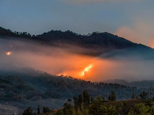9 Taman Nasional Ditutup Sementara Imbas Karhutla!