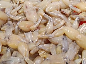 Bikin Heboh! Daging Kodok Dijual di Supermarket dengan Label Halal MUI