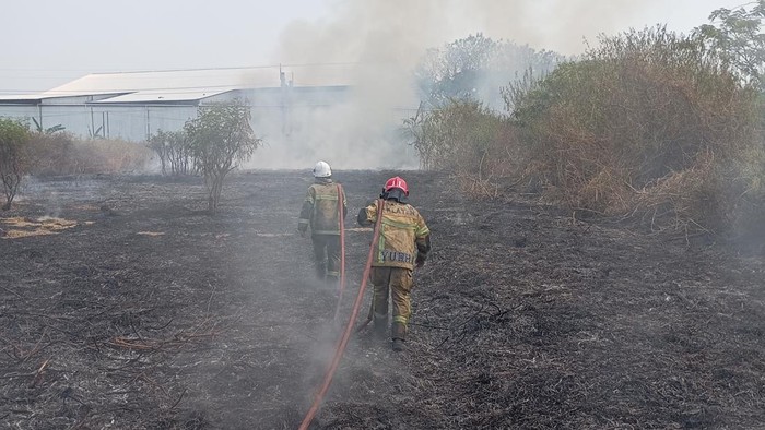 Damkar Klaten memadamkan api di lahan Desa Dlimas, Kecamatan Ceper, Klaten, Senin (31/8/2026).