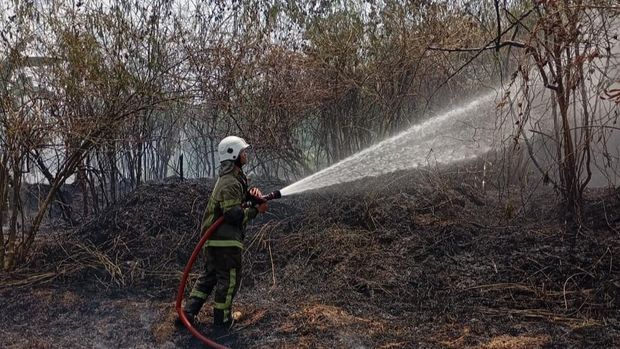 Damkar Klaten memadamkan api di lahan Desa Dlimas, Kecamatan Ceper, Klaten, Senin (31/8/2026). Damkar Klaten memadamkan api di lahan Desa Dlimas, Kecamatan Ceper, Klaten, Senin (31/8/2026).