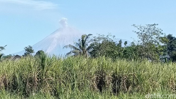 Gunung Semeru erupsi