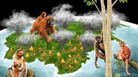Malapetaka Karhutla di Pulau Paru-paru Dunia