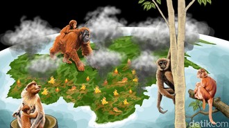 Malapetaka Karhutla di Pulau Paru-paru Dunia