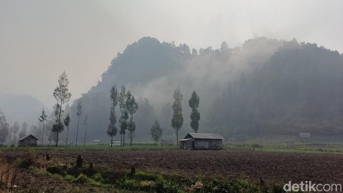 Kebakaran hutan Taman Nasional Bromo Tengger Semeru (TNBTS)