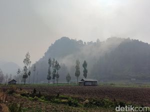 Water Bombing Dihentikan, Karhutla TNBTS Dipadamkan Manual