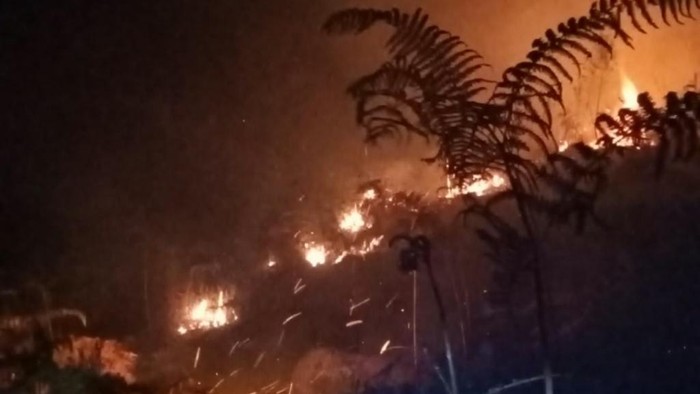 Kebakaran Kembali Terjadi di Lembah Kijang Gunung Arjuno