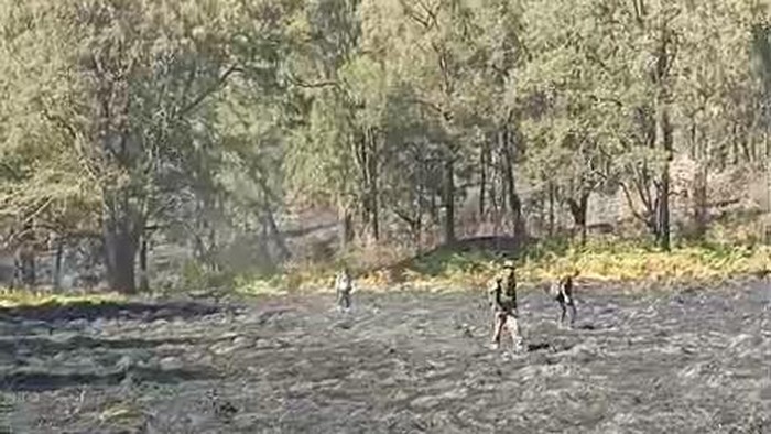 Kondisi terkini Lembah Kijang, Gunung Arjuno, Pasuruan usai pemadaman berhasil dilakukan oleh para relawan dan warga setempat.
