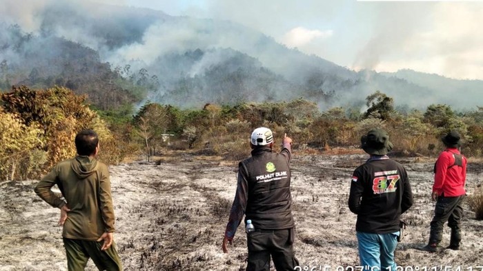 KPH Latimojong melaporkan 50 hektare lahan terbakar di Luwu, Sulawesi Selatan. Kebakaran diduga akibat aktivitas warga.
