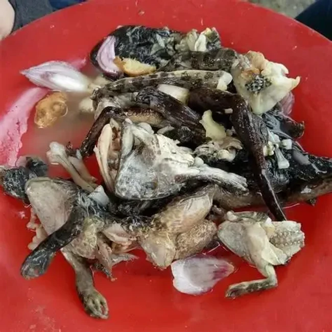 8 Makanan Ekstrem di Thailand, Ada Dancing Shrimp hingga Tikus Panggang!
