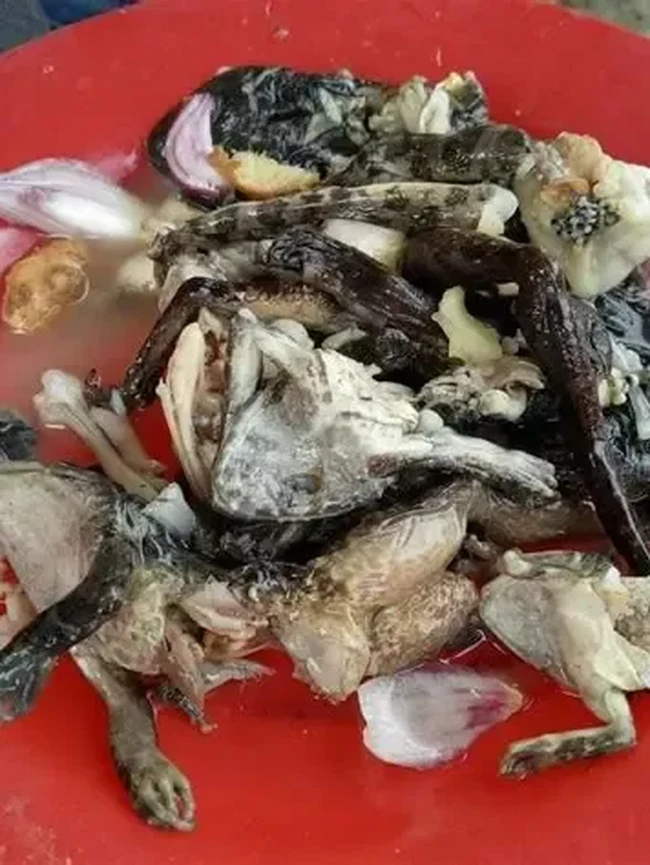 8 Makanan Ekstrem di Thailand, Ada Dancing Shrimp hingga Tikus Panggang!