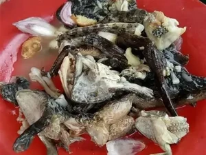 8 Makanan Ekstrem di Thailand, Ada Dancing Shrimp hingga Tikus Panggang!