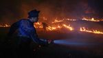 Kerja Keras Petugas Padamkan Api Karhutla di Kalimantan