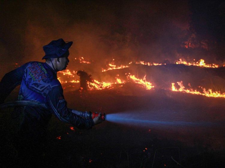 Menembus Asap, Petugas Berjibaku Padamkan Karhutla Kalimantan
