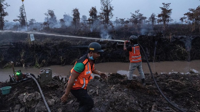 Argitoe Ranting, program operations director of the wildlife foundation, Yayasan Inisiasi Alam Rehabilitasi Indonesia, along with their firefighter, attempt to extinguish wildfires burning a peatland area next to their orangutan rehabilitation center in Ketapang regency, West Kalimantan province, Indonesia, August 28, 2026. REUTERS/Willy Kurniawan