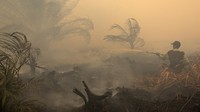 Kualitas Udara di 10 Wilayah Terdampak Asap Karhutla, Ada yang Capai Level Berbahaya