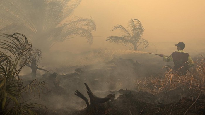 A local farmer sprays water in an attempt to extinguish wildfires that are burning his palm oil plantation in Sungai Putri, Ketapang regency, West Kalimantan province, Indonesia, August 29, 2026. REUTERS/Willy Kurniawan