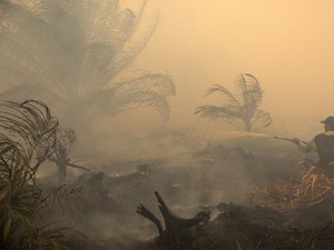Bocah Meninggal Usai Kabut Asap di Puruk Cahu, Dinkes Beri Penjelasan