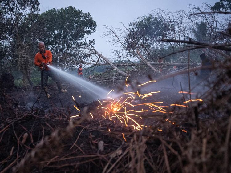 Kerja Keras Petugas Padamkan Api Karhutla di Kalimantan