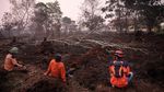 Kerja Keras Petugas Padamkan Api Karhutla di Kalimantan