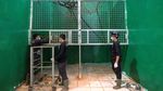 Orang Utan Sesak Napas Gegara Asap Kebakaran Hutan Kalimantan