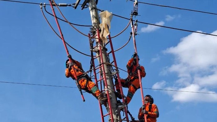 Petugas PLN Parepare saat melakukan perbaikan infrastruktur listrik.