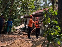 Angin Kencang Bikin Tumbang Pohon Tua di Bogor, 2 Rumah Rusak Tertimpa