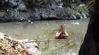 Geger 'Ritual' Pria Aljazair Kungkum di Danau Sunter