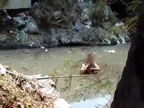 Momen Pria Aljazair Ngaku Lagi Ritual Dievakuasi dari Danau Sunter