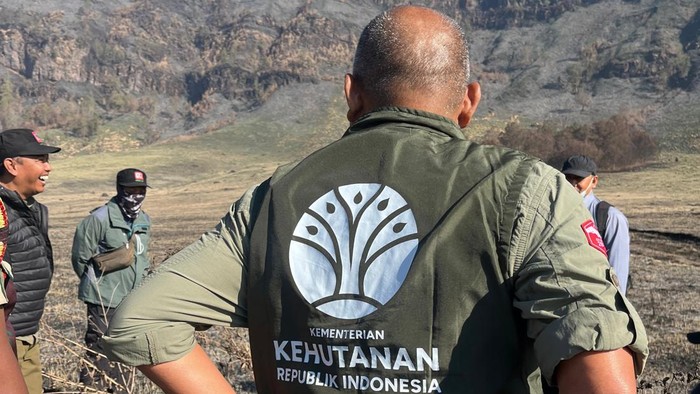 Tim ahli dikerahkan Kemenhut untuk selidiki dugaan pidana di balik kebakaran hutan dan lahan kawasan Taman Nasional Bromo Tengger Semeru (TNBTS).