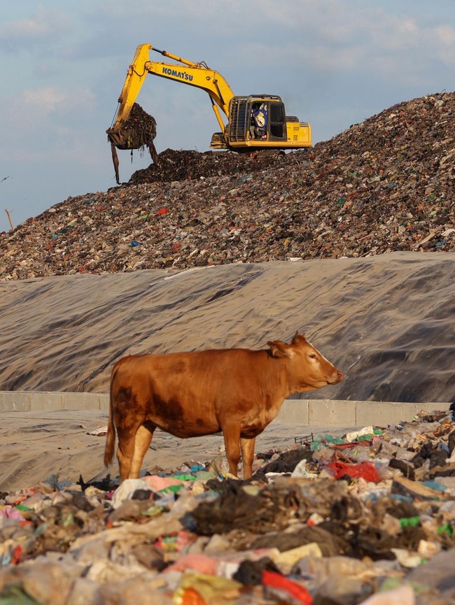 TPA Tamangapa Berbenah, Gunungan Sampah Ditutup 93 Persen