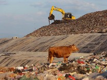 TPA Tamangapa Berbenah, Gunungan Sampah Ditutup 93 Persen