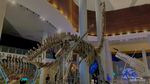 Fosil Dinosaurus Asli Setinggi 20 Meter, Ada di Tahir Solo Museum