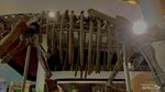 Fosil Dinosaurus Asli Setinggi 20 Meter, Ada di Tahir Solo Museum