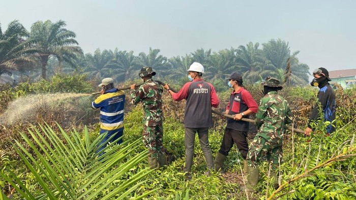 Artha Graha Peduli Bersinergi Tangani Karhutla di Kayong Utara Kalbar