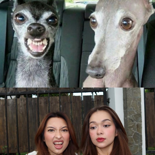 Bikin Gemas! Jennifer Coppen dan Rebecca Klopper Ekspresif Tiru Meme Lucu
