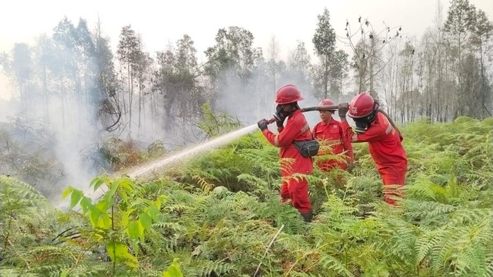 Karhutla di Muara Medak-Mendis dilakukan upaya pemadaman.