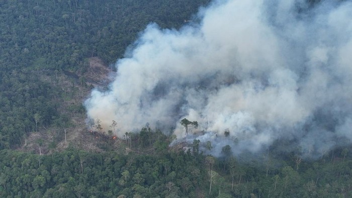 Kawasan hutan terbakar di Bengkulu