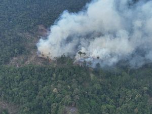125 Hektare Lahan Terbakar di Bengkulu