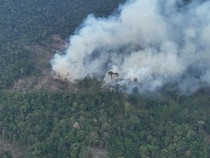 295 Hotspot Terdeteksi di Bengkulu Selama Agustus, Kaur Paling Banyak