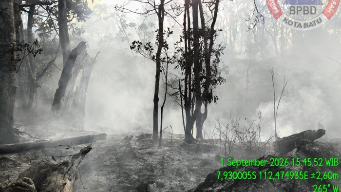 Kebakaran di Gunung Buthak