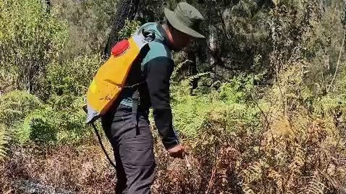 Kebakaran di Kawasan Gunung Arjuno-Welirang Dipastikan Padam