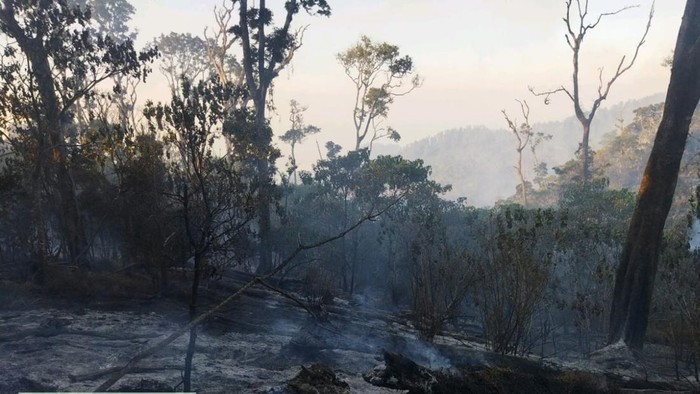 Kebakaran hutan di Gunung Buthak, Malang.